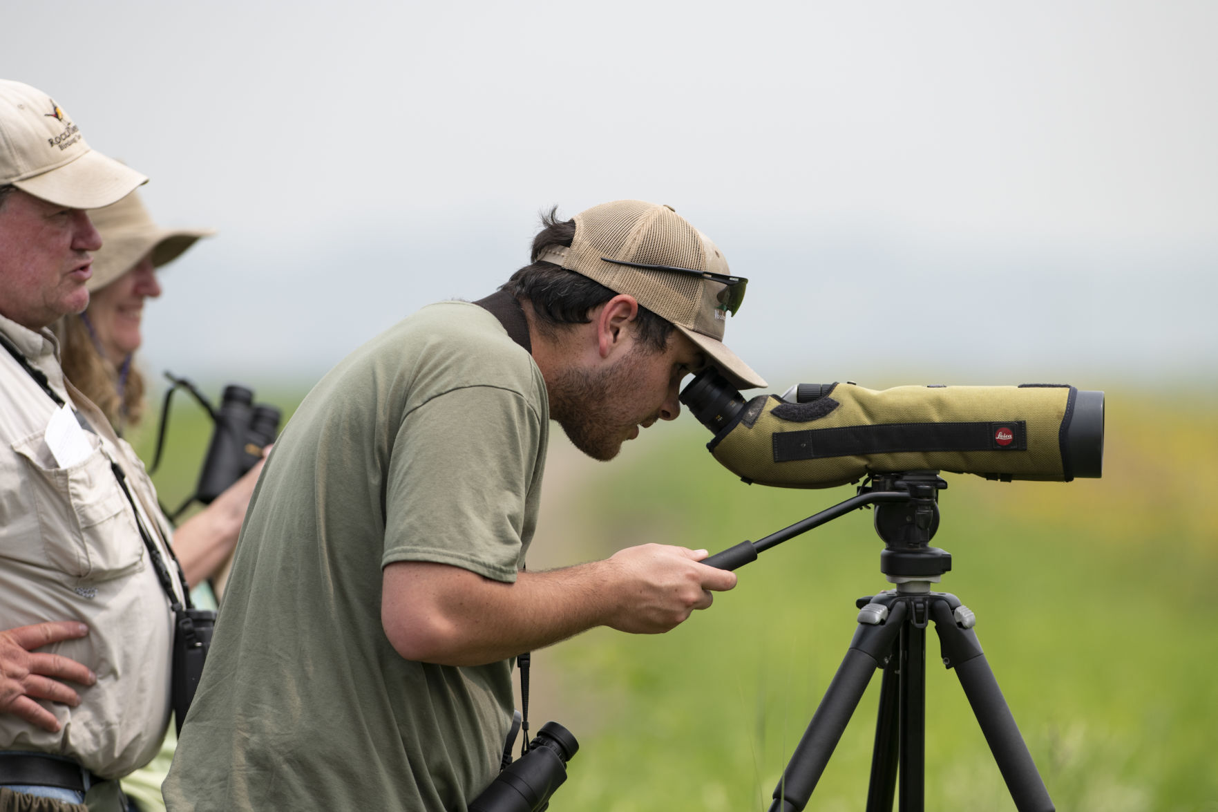 Bird Watching